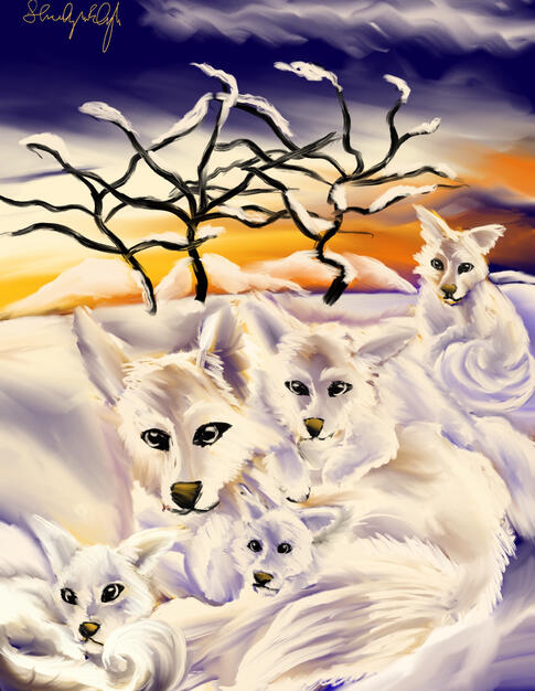 Wildlife Family Illustrations- $65